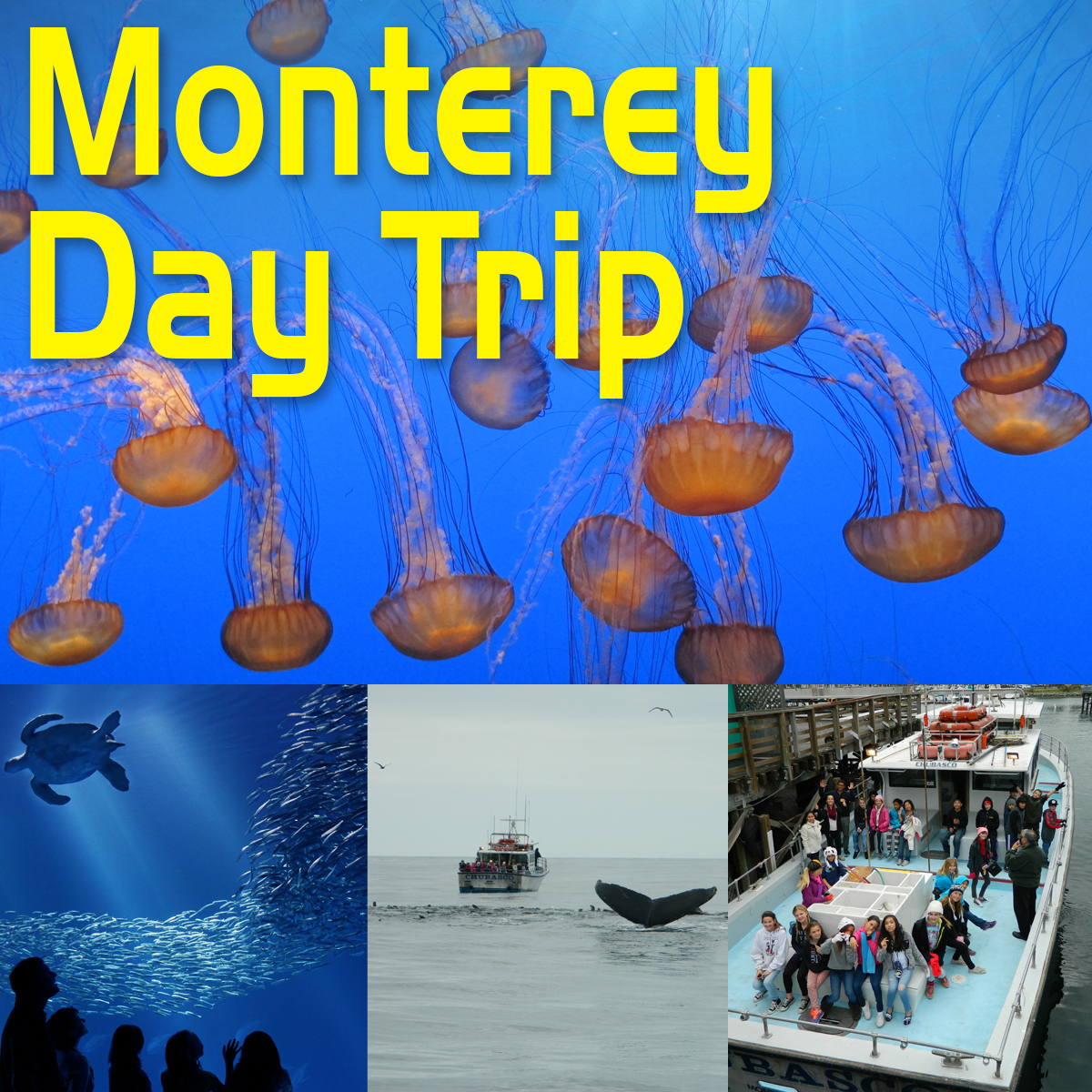 monterey-logo-square.jpg